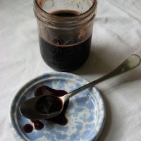Immune Boosting Elderberry Rose Hip Syrup