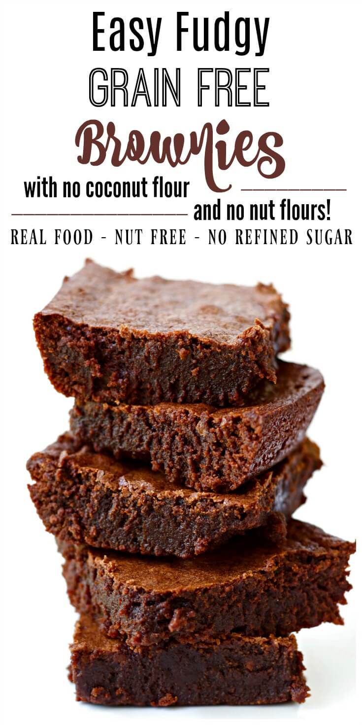These decadent Fudgy Grain Free Brownies are out-of-this-world, crazy good. They're chewy with a nice crusty bite on top, made without refined sugar, naturally gluten free, Paleo-friendly and freeze beautifully too! You would never know these irresistible brownies are grain free. | Recipes to Nourish || Grain Free Recipe | Gluten Free Brownies | Nut Free Brownies | Paleo Brownies