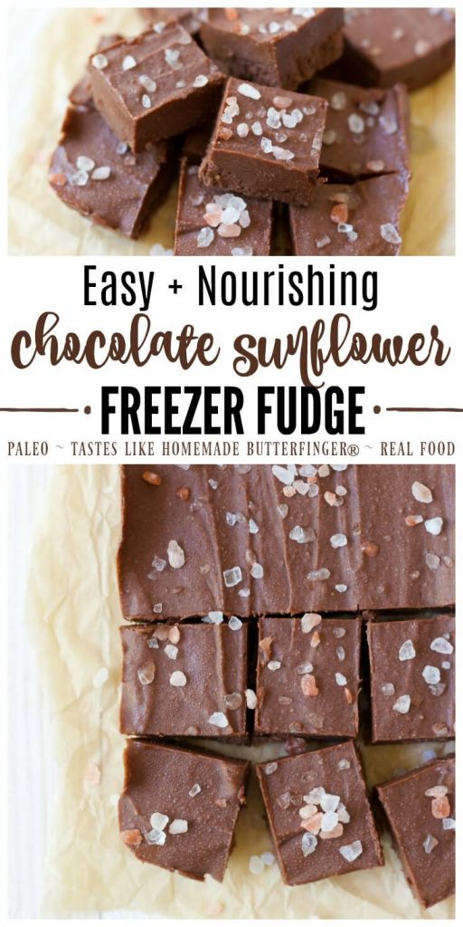 Chocolate Sunflower Freezer Fudge cut into slices.