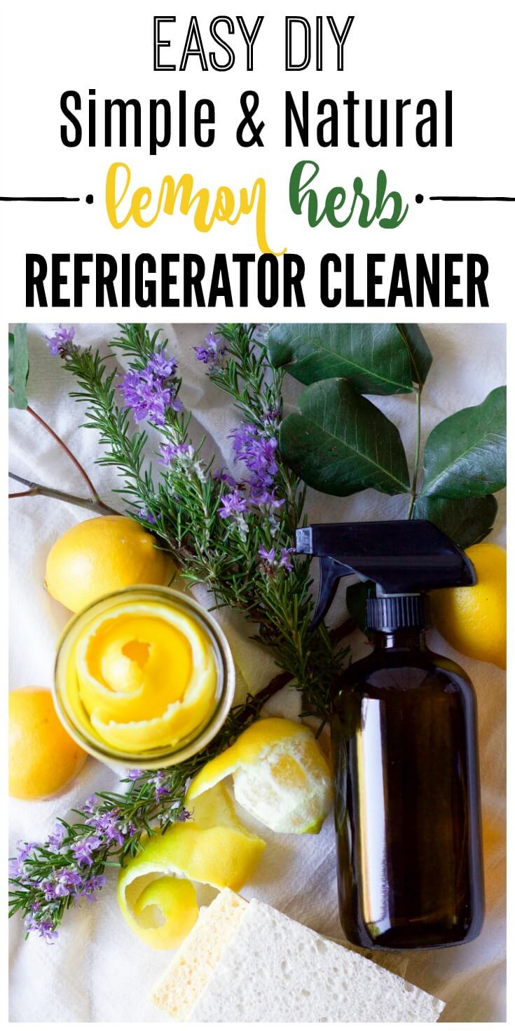 (ad) Make your own Easy DIY Natural Lemon Herb Refrigerator Cleaner with 3 common ingredients! This natural cleaner is money-saving, chemical-free and very effective for cleaning. | Recipes to Nourish | DIY Refrigerator cleaner | Natural kitchen cleaner | Natural refrigerator cleaner | homemade refrigerator cleaner | Non-toxic DIY cleaner || #DIYcleaner #allnaturalcleaners #vinegarcleaners
