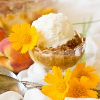 Real Food Instant Pot Peach Crumble